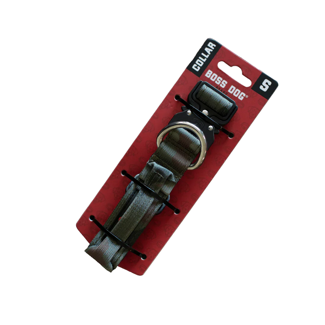 Thumbnail 12
